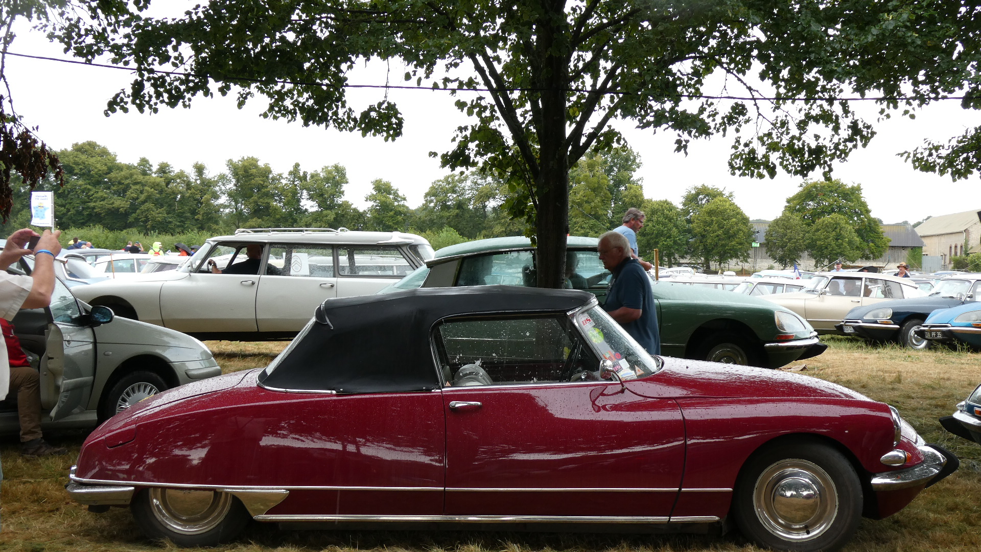 いろんなシとろえん