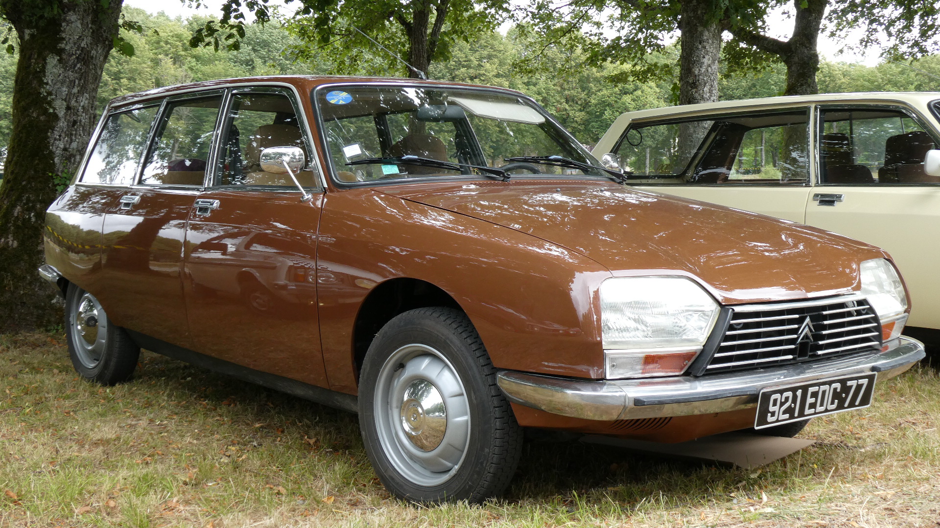 いろんなシとろえん