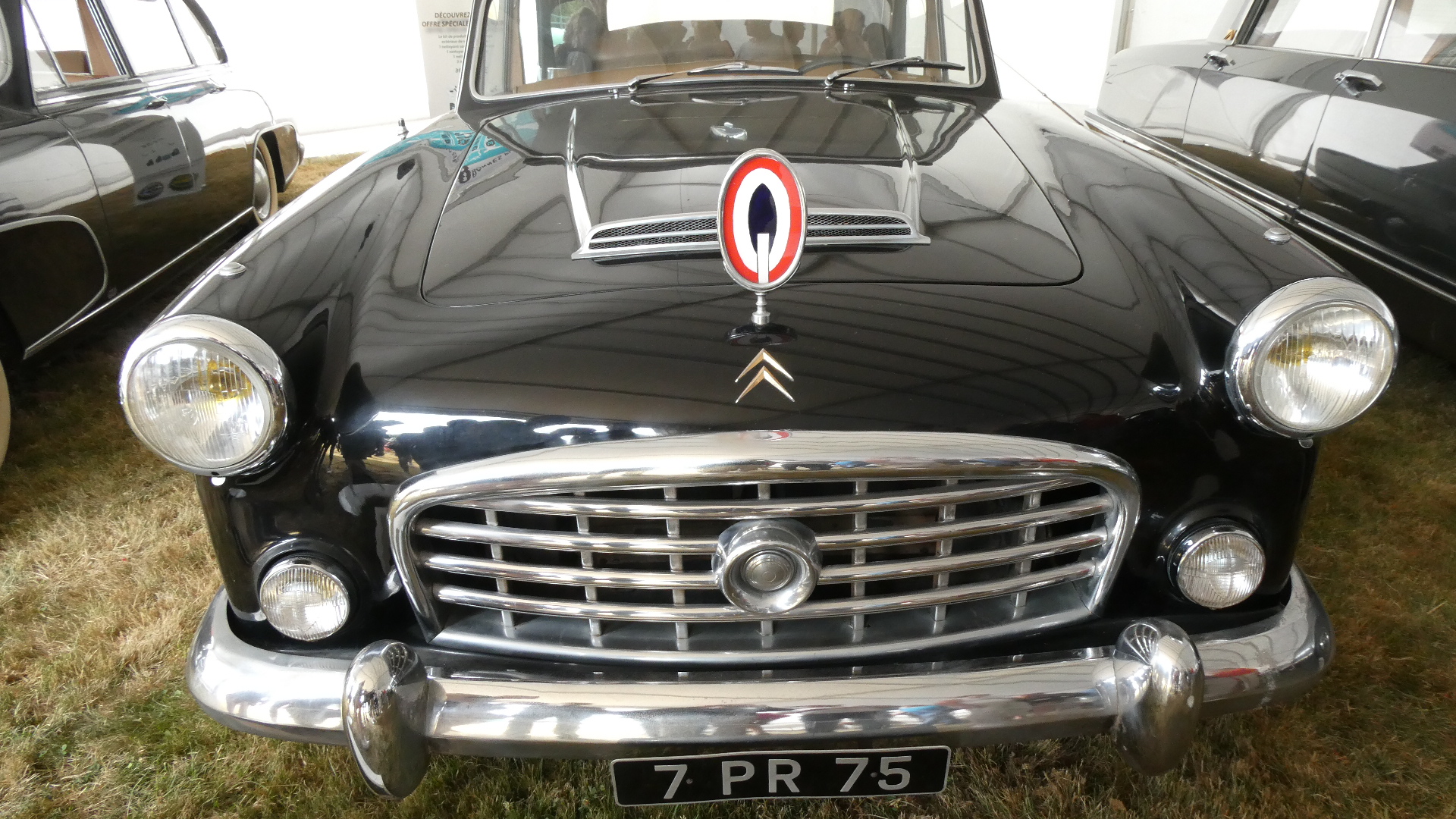 いろんなシとろえん