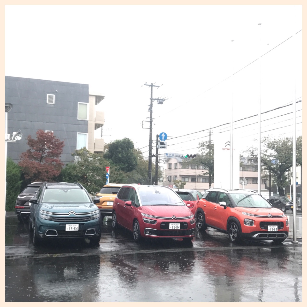 すごいです(>_<)