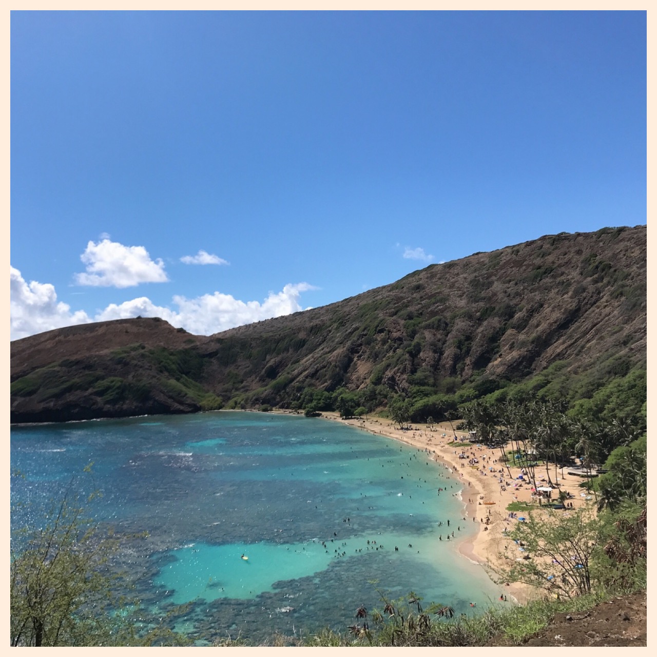 ハワイに行ってきました！