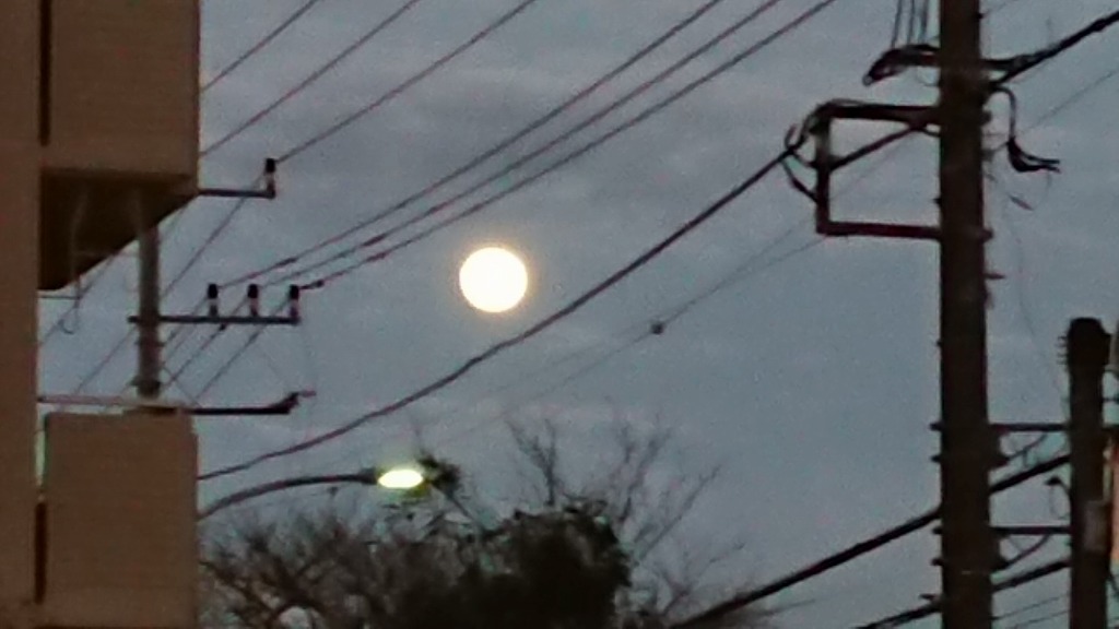 今夜の月すごいです！