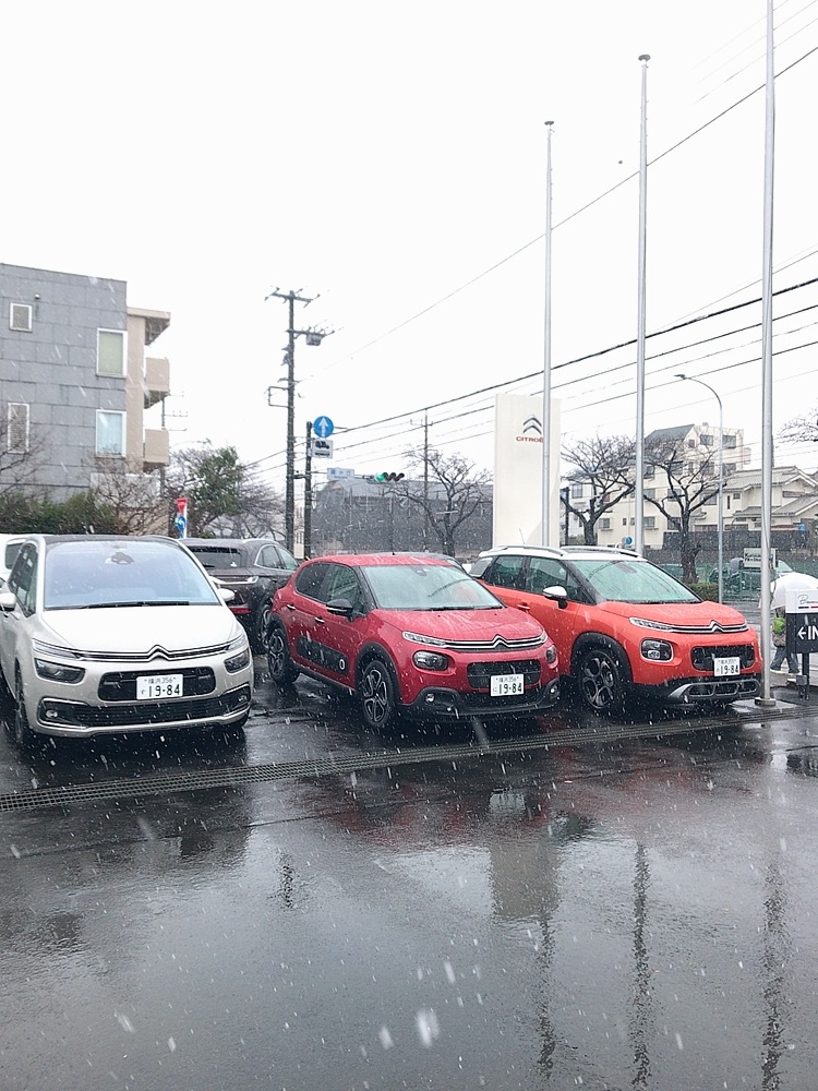 本日ご来場のお客様