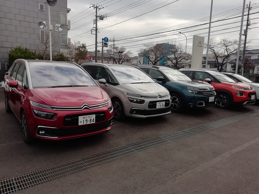 デモカー全車　クレベリン洗浄済みでございます。