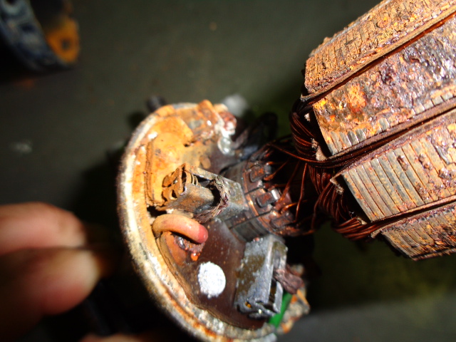 ワイパー復活なるか!?