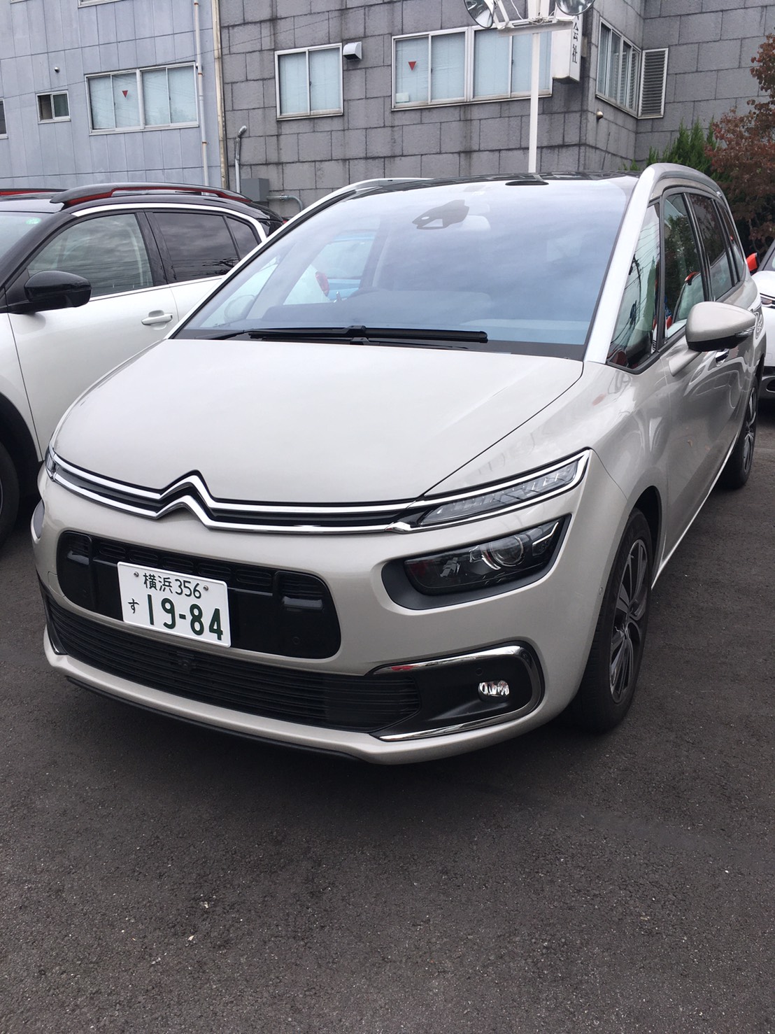 フランスとコラボ！