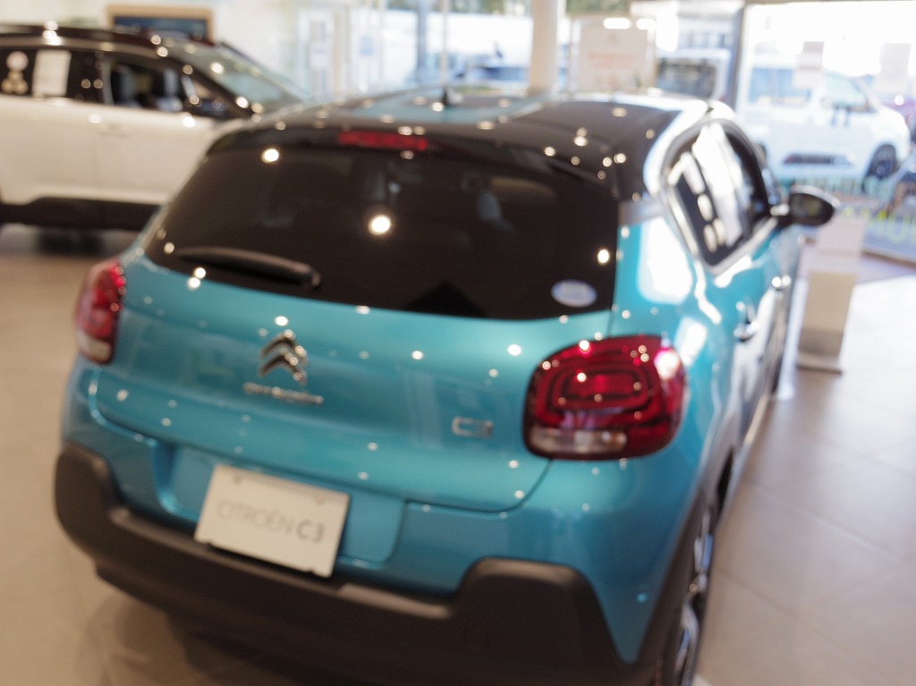 C3　Edition2021　入荷しました！