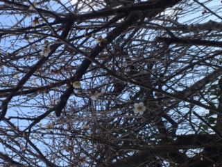 ブティックの商品案内