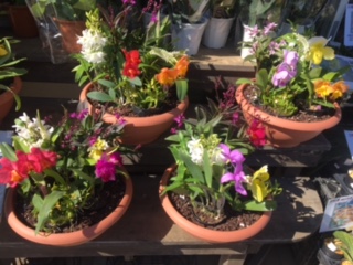 ブティックの商品案内２