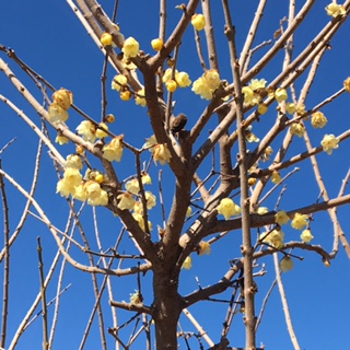 ブティックの商品案内4