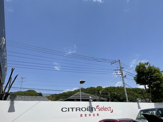 伐採！伐採！大伐採！！！