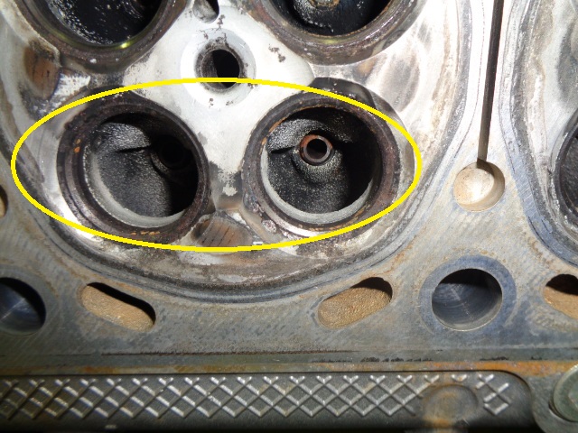 インポート清掃って何してるの？