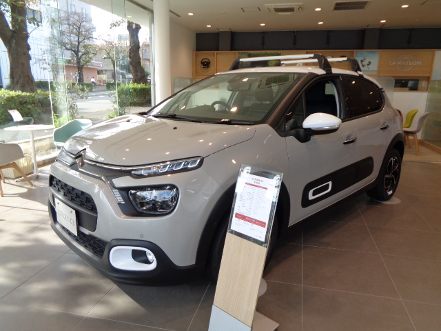 ルーフキャリア装着