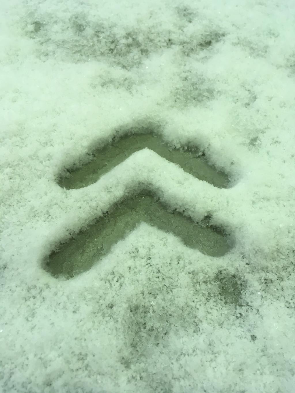 あけましておめでとうございます！with雪