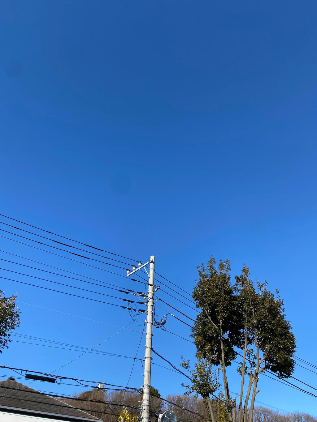 ２０２２年もよろしくお願いします