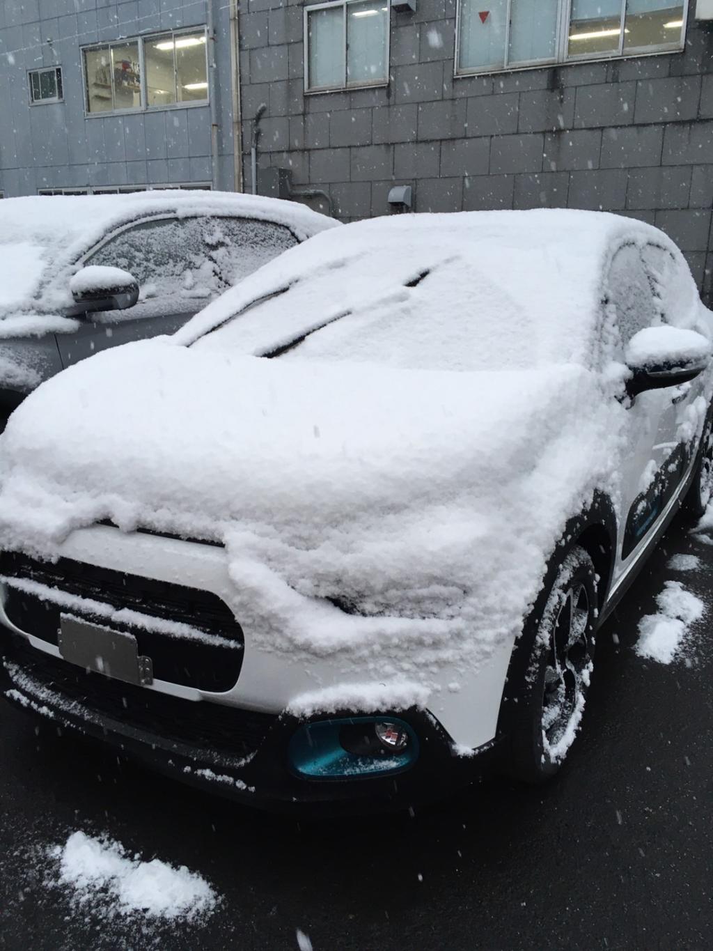 雪化粧のシトロエン