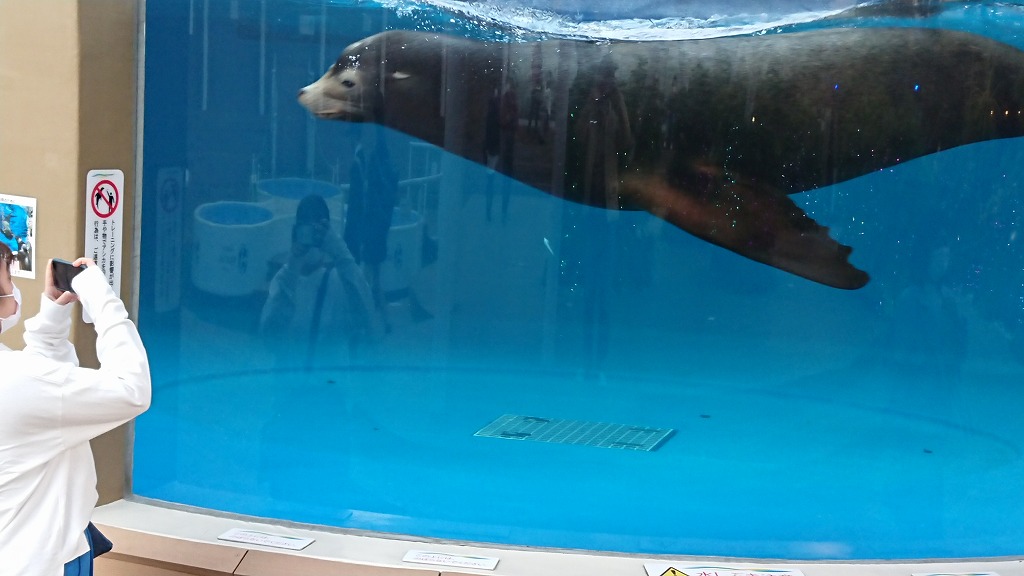 エクステリアデザイン　色について