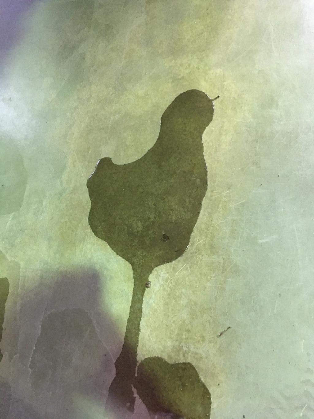 工場のほっこりな一面