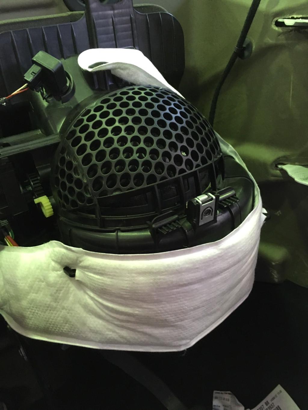 西洋のカブト？