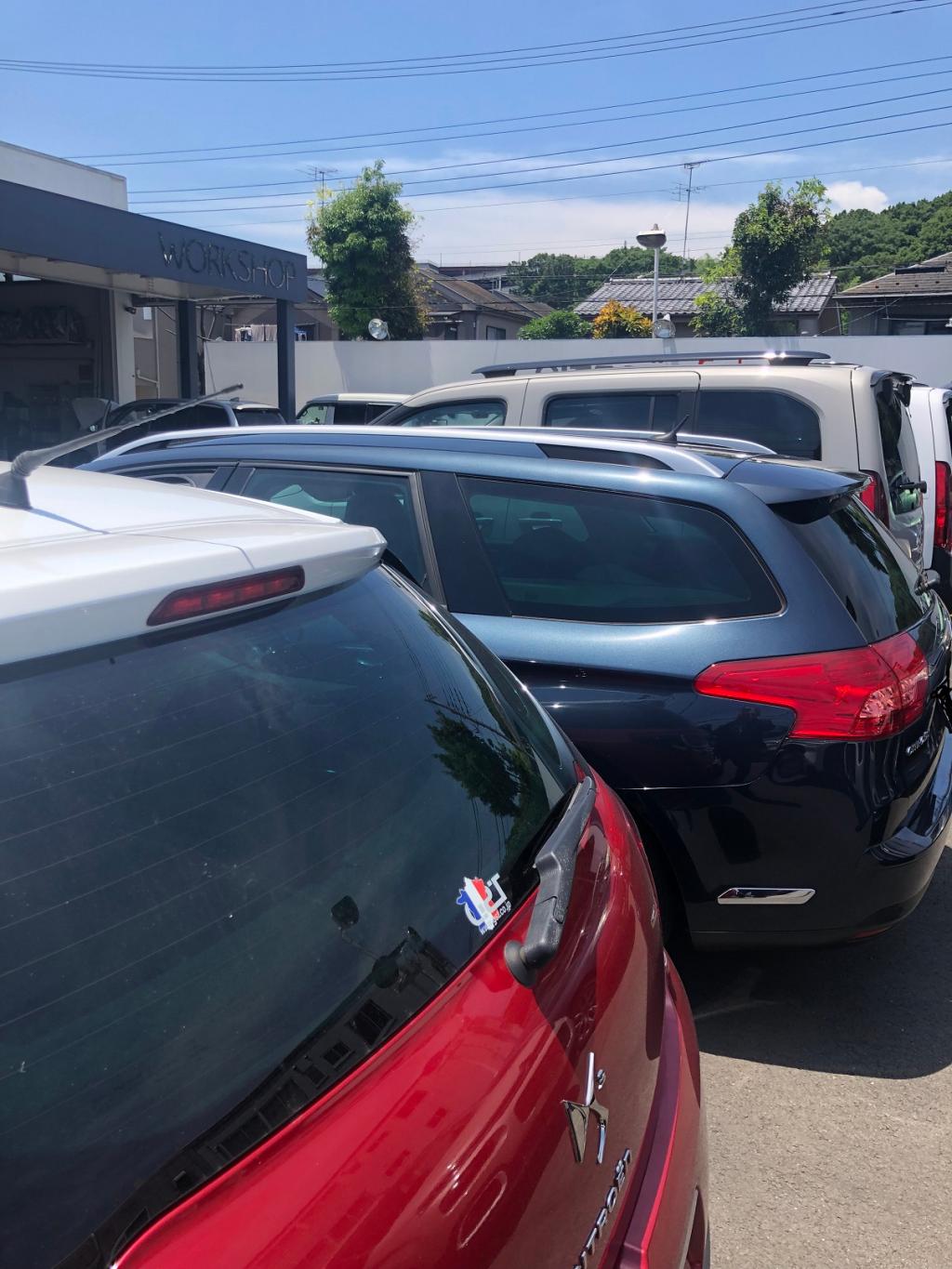 梅雨の晴れ間か、晴れ間の梅雨か。