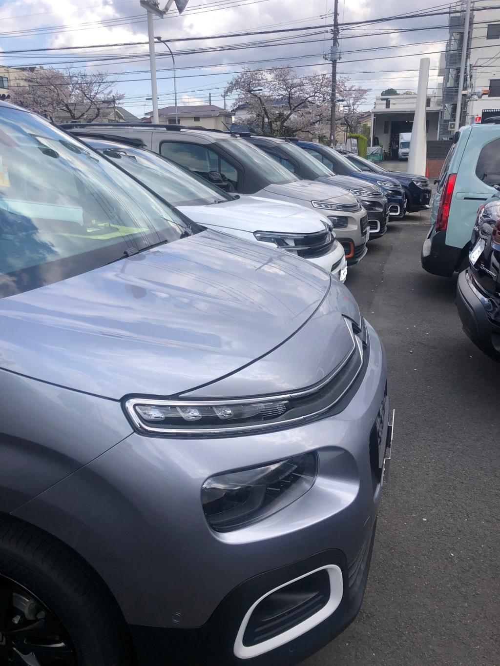 目移りする程でございます。