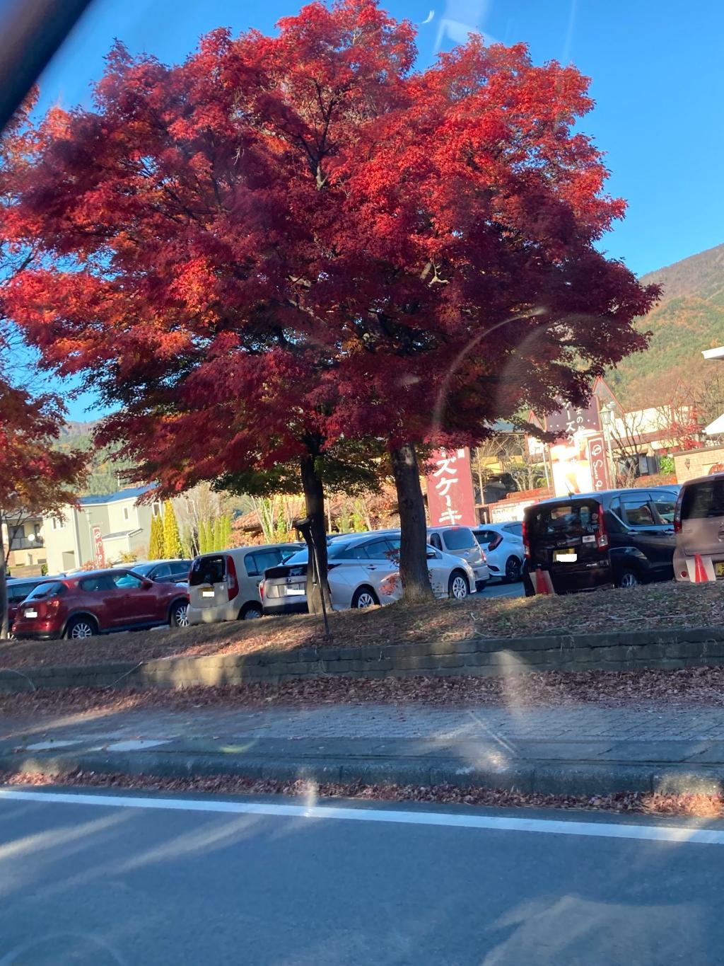 シトロエン各車試乗感。