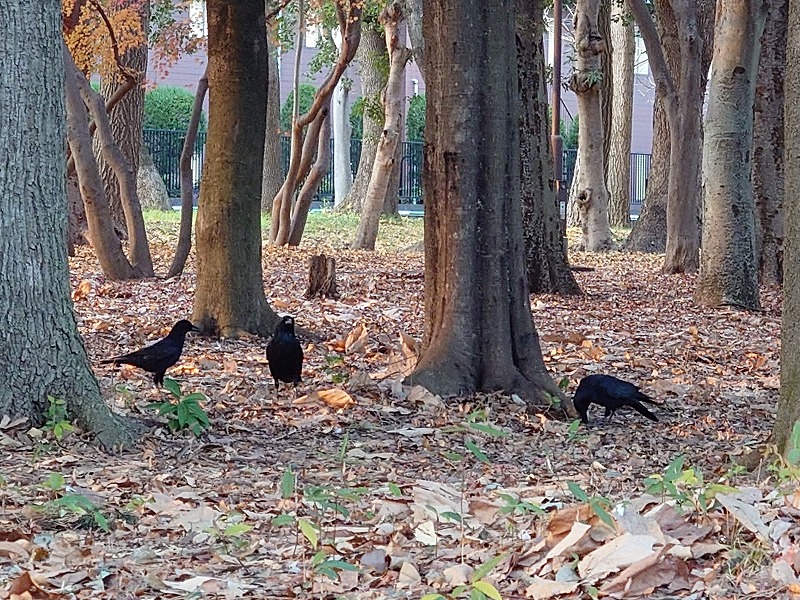 エクステリアデザイン