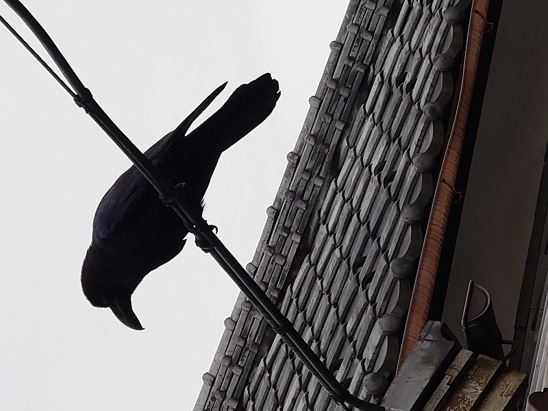 エクステリアデザイン