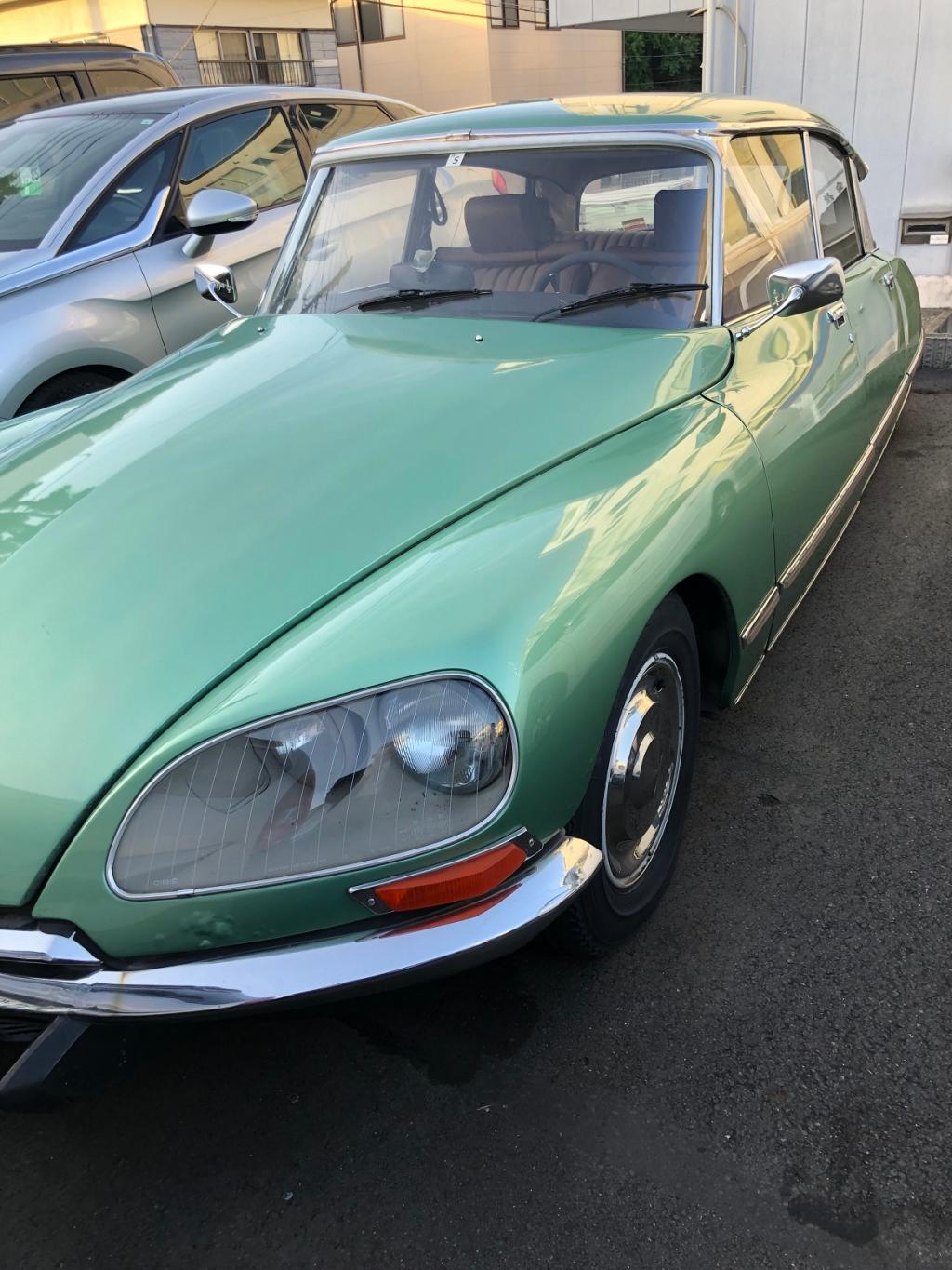 いまだ人気者です。