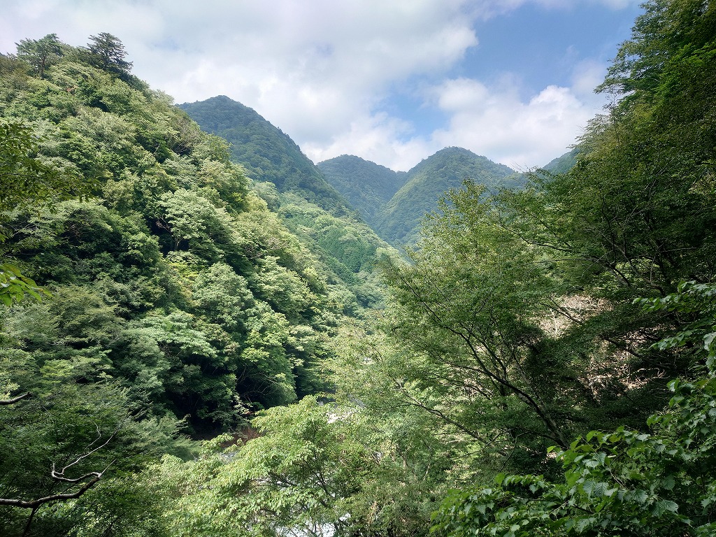 インテリアデザイン