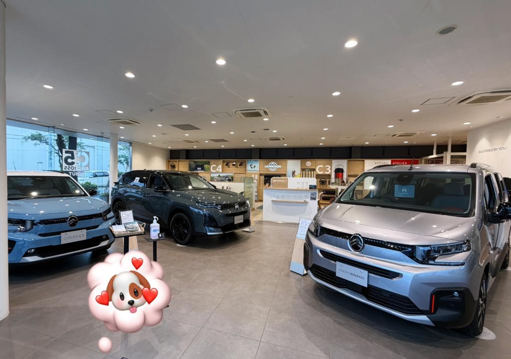 現在の展示車のご紹介