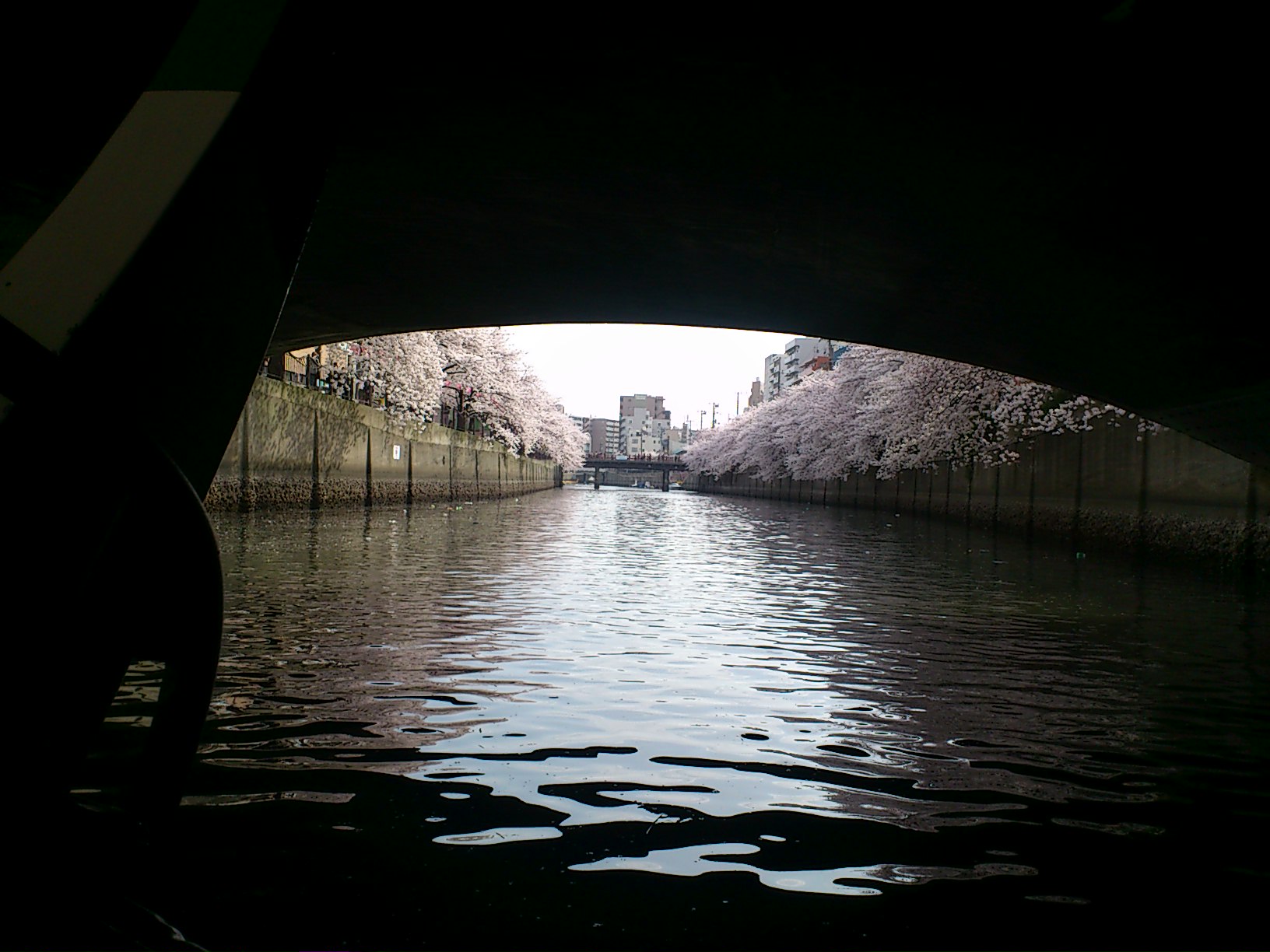 はあるのおぉ（おか）がわはさらさらいくよ？