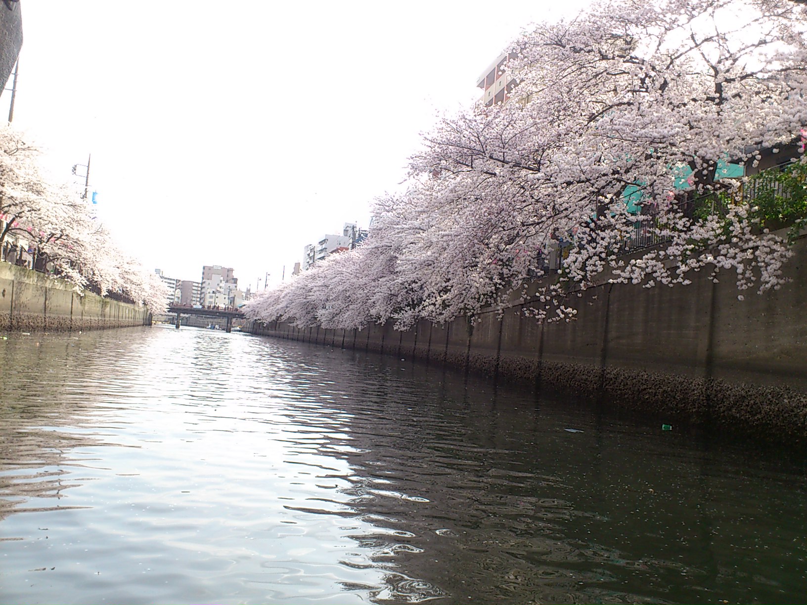 はあるのおぉ（おか）がわはさらさらいくよ？