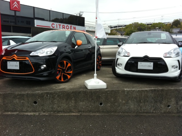 かぁ～めぇ～はぁ～めぇ～・・・波！！！！最後まで読むと良い事あるかも。