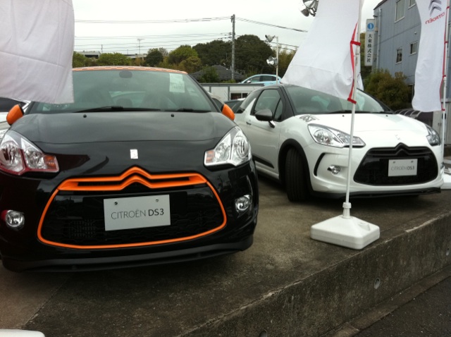 かぁ～めぇ～はぁ～めぇ～・・・波！！！！最後まで読むと良い事あるかも。