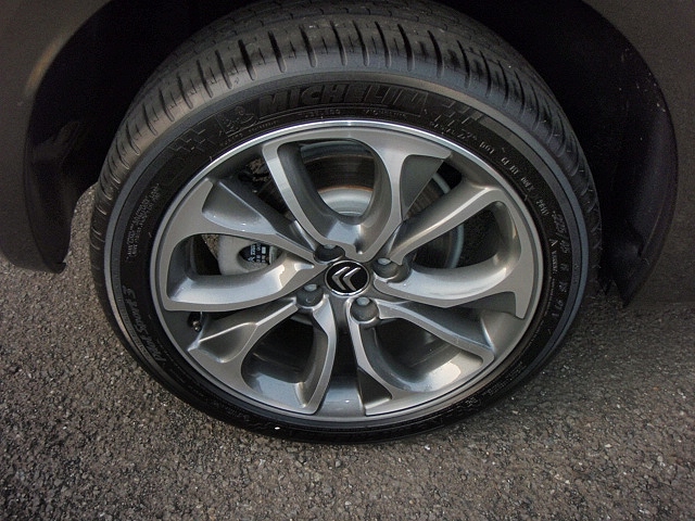 花粉にも負けず