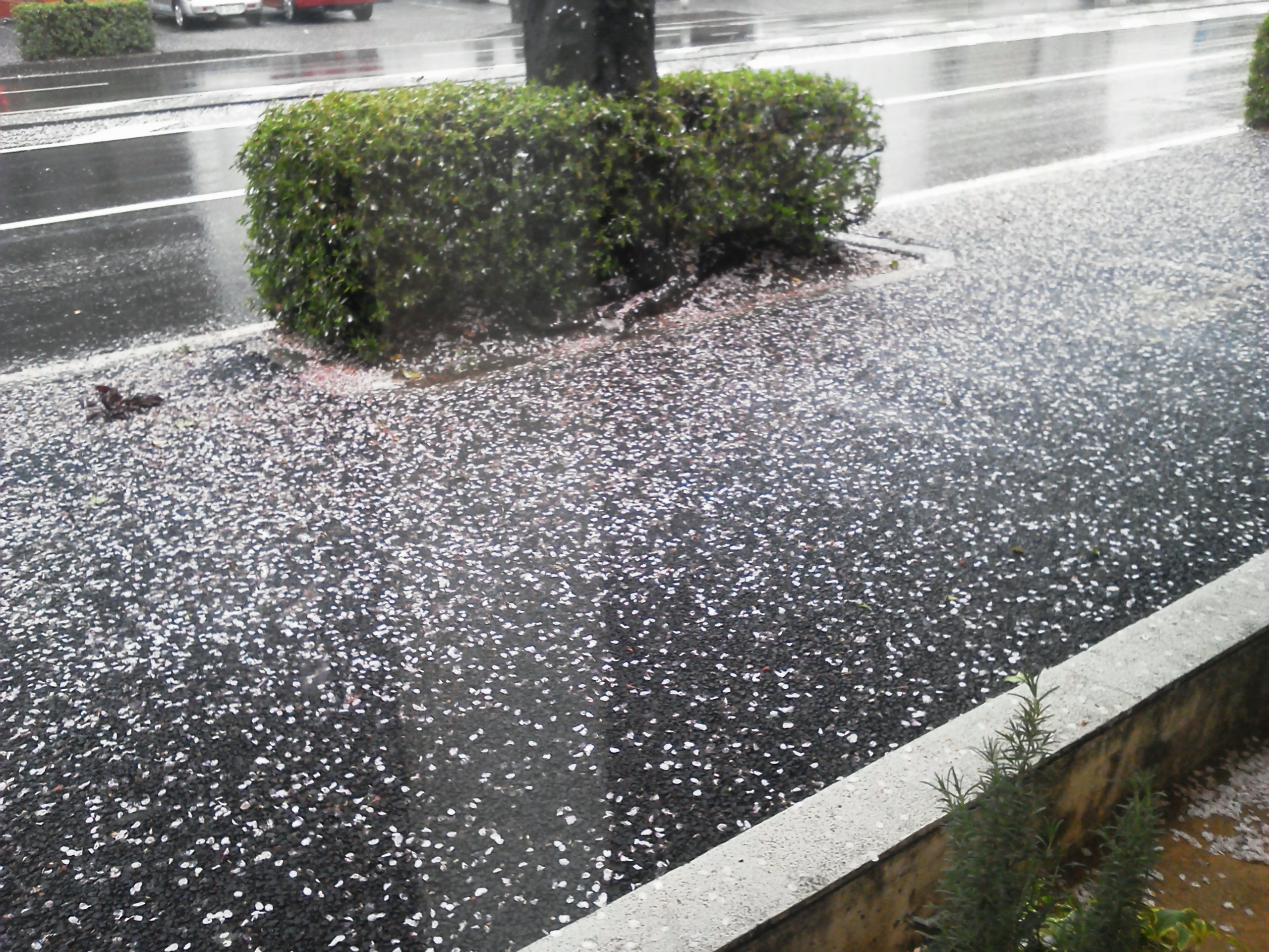 憂鬱な雨