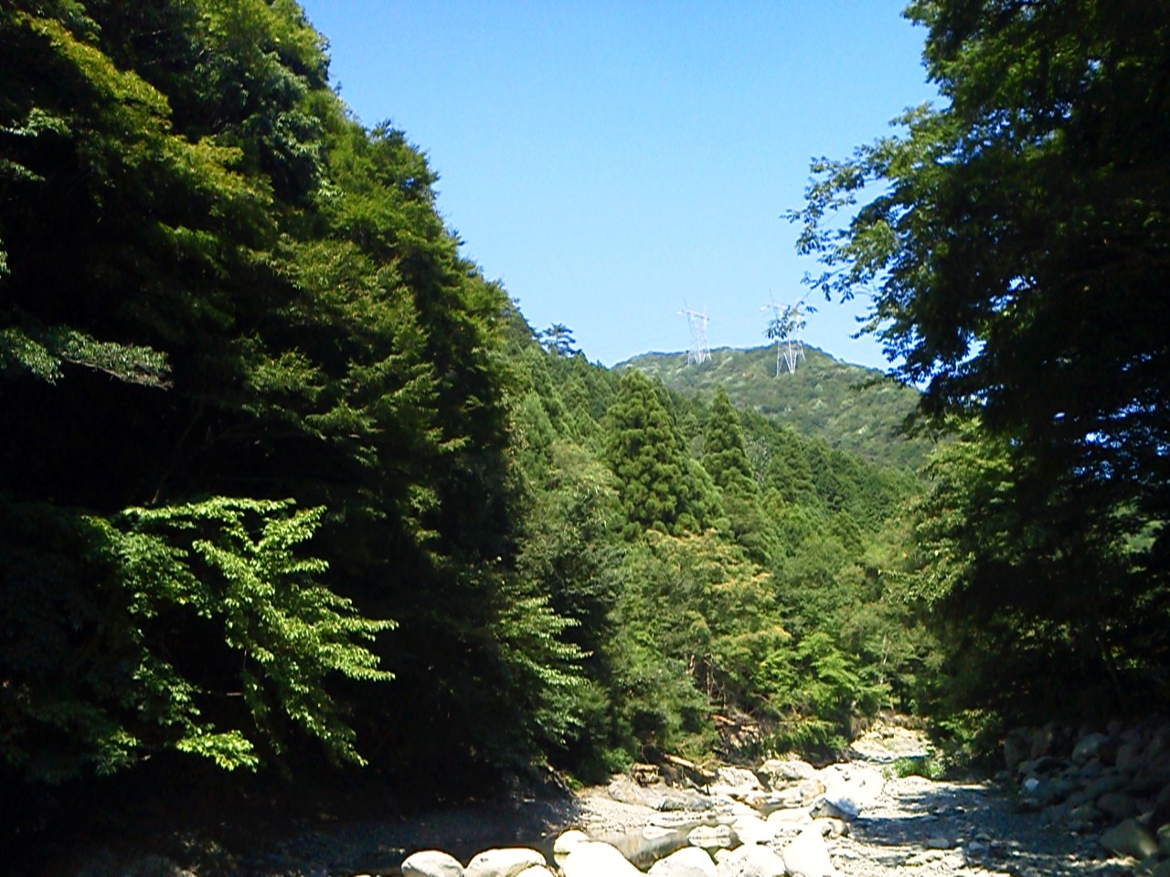 バス一本に泣く一日でした