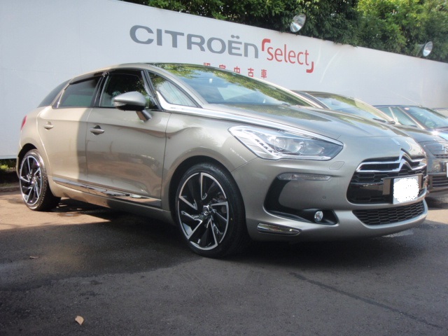 ＤＳ普及委員会