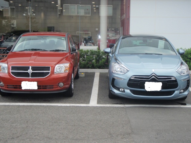 ＤＳ普及委員会