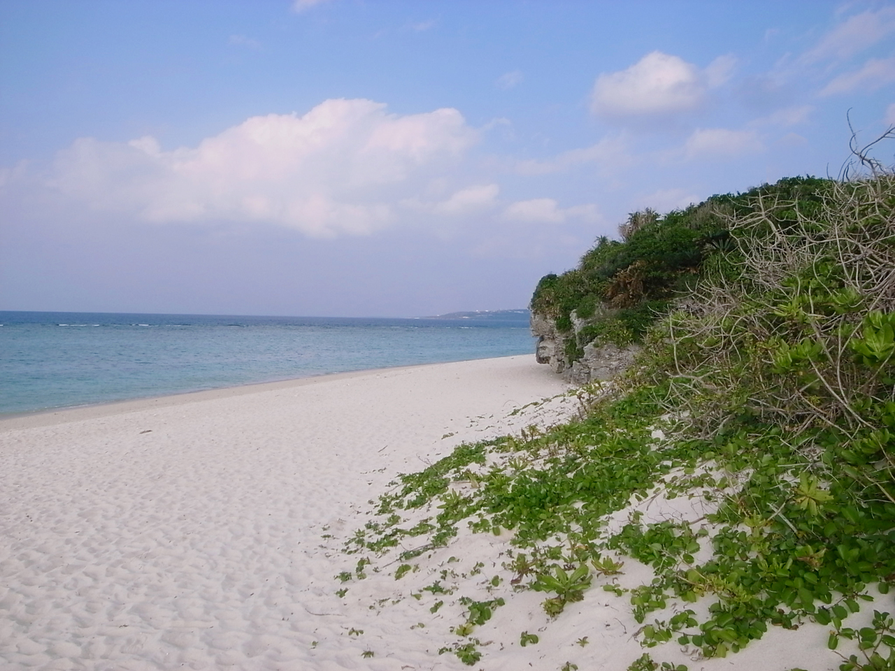 ＤＳ普及委員会