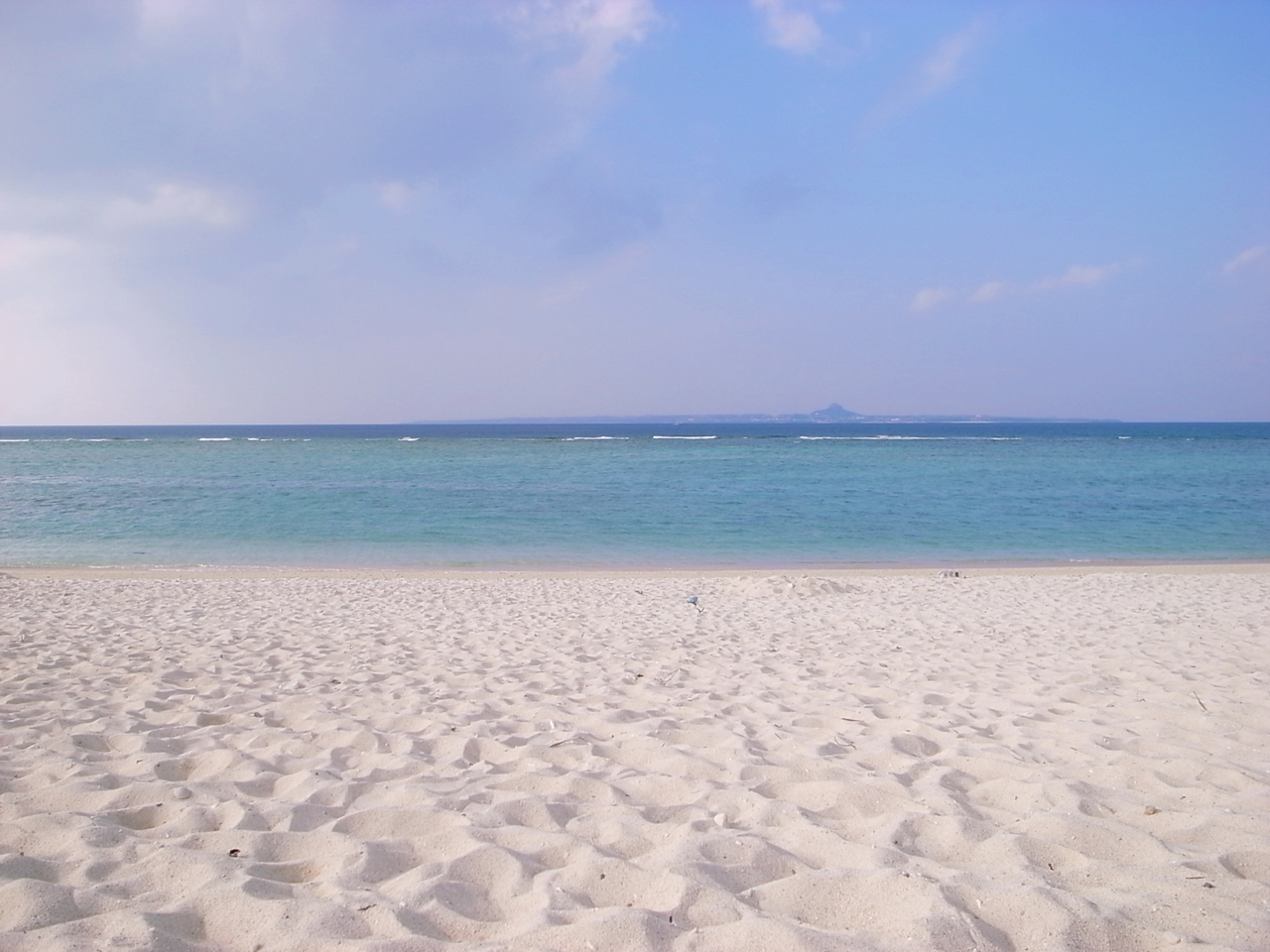 ＤＳ普及委員会