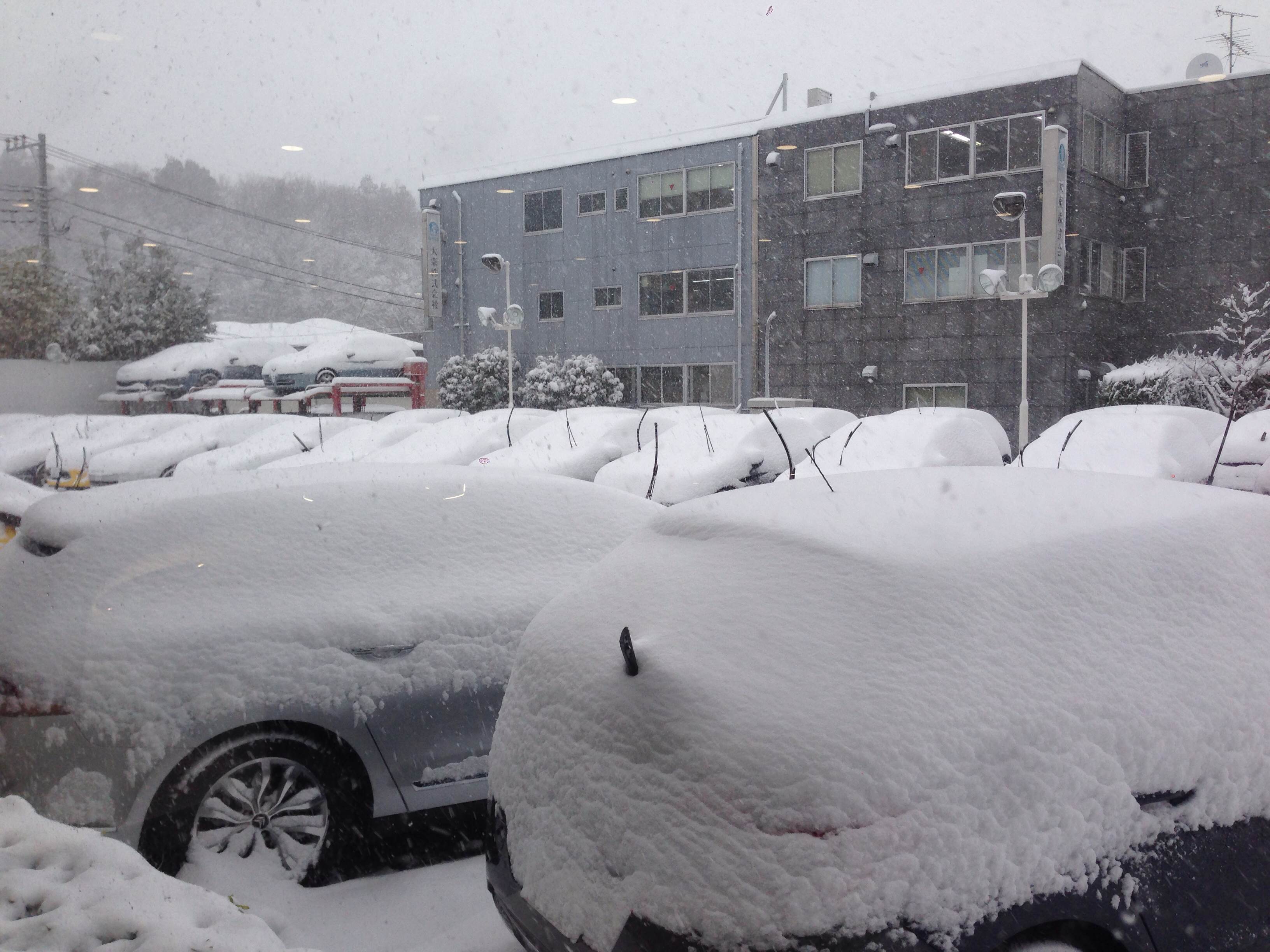 雪掻きＰＡＲＴＹ　in　シトロエン横浜緑