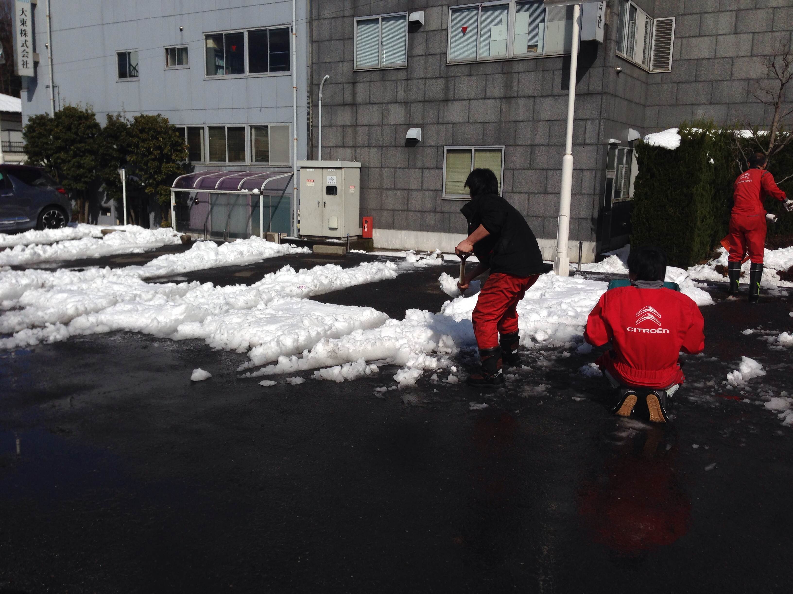 雪掻きＰＡＲＴＹ　in　シトロエン横浜緑