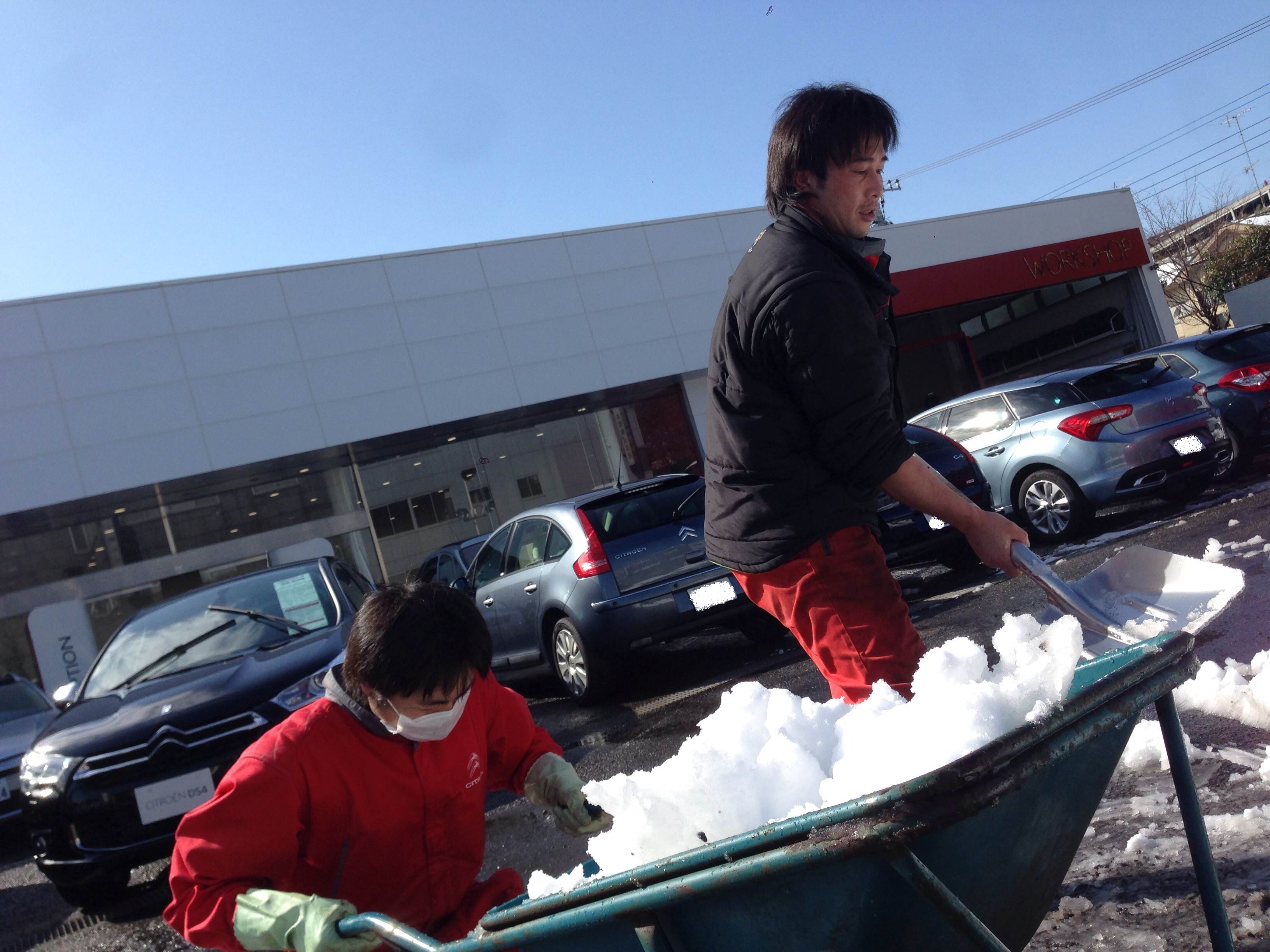 雪掻きＰＡＲＴＹ　in　シトロエン横浜緑