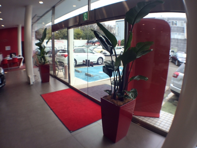 植木の入れ替え