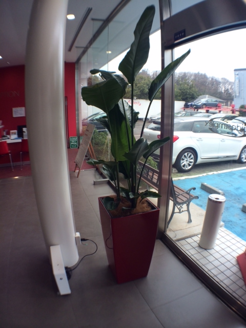 植木の入れ替え