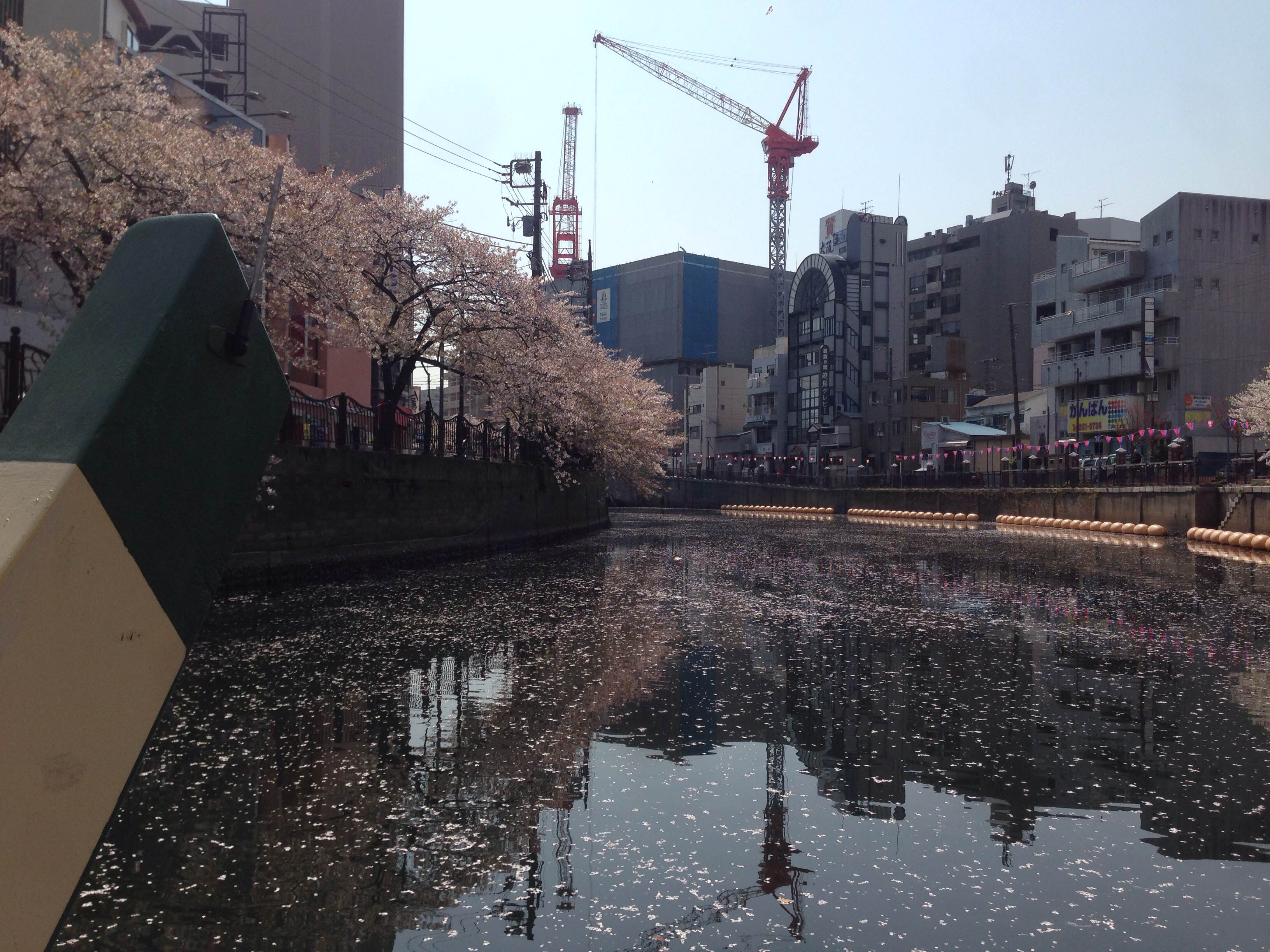 チームＧＳＴ「屋形船でお花見 on 大岡川 2014」
