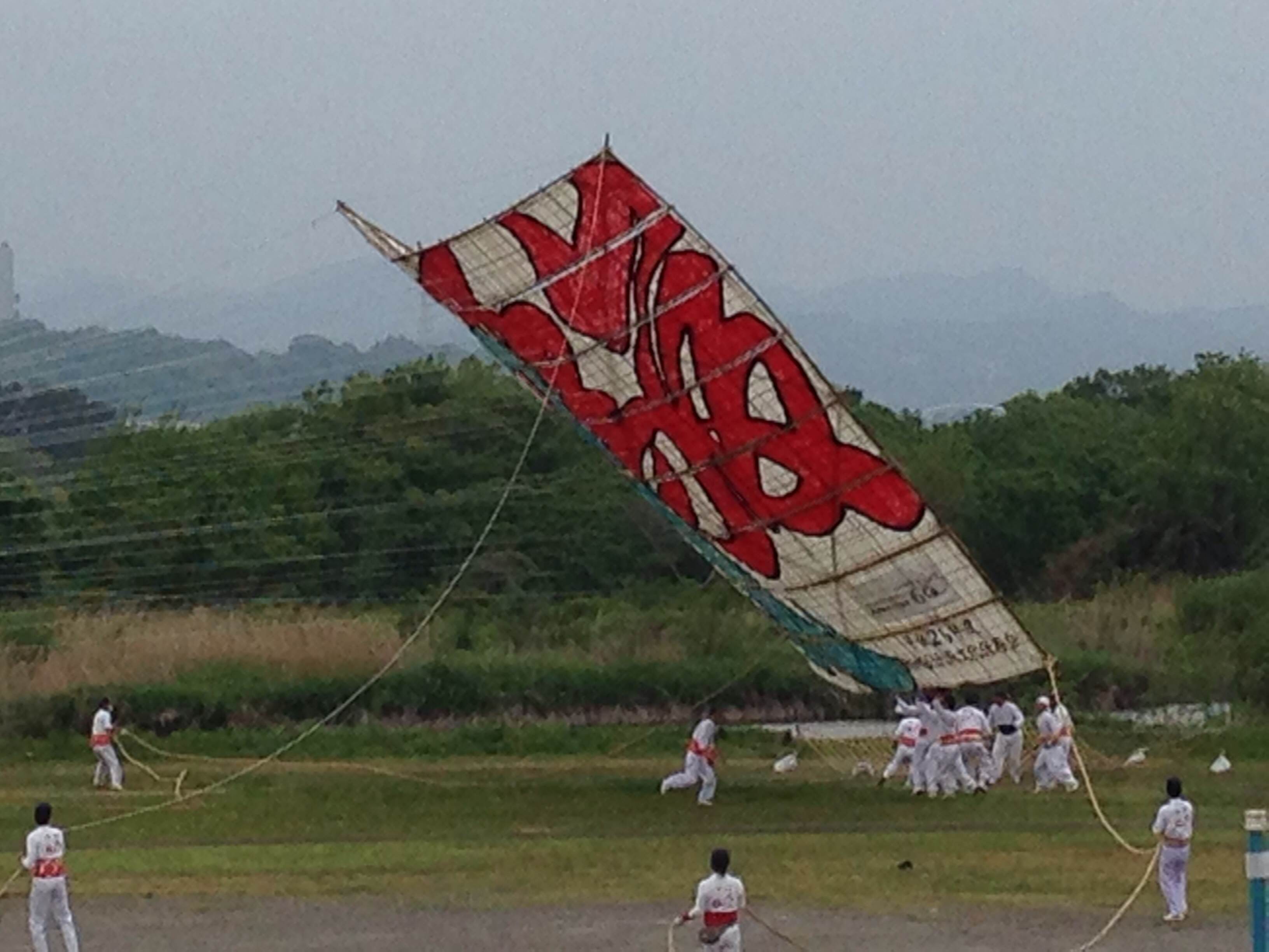 ☆相模の大凧祭り☆