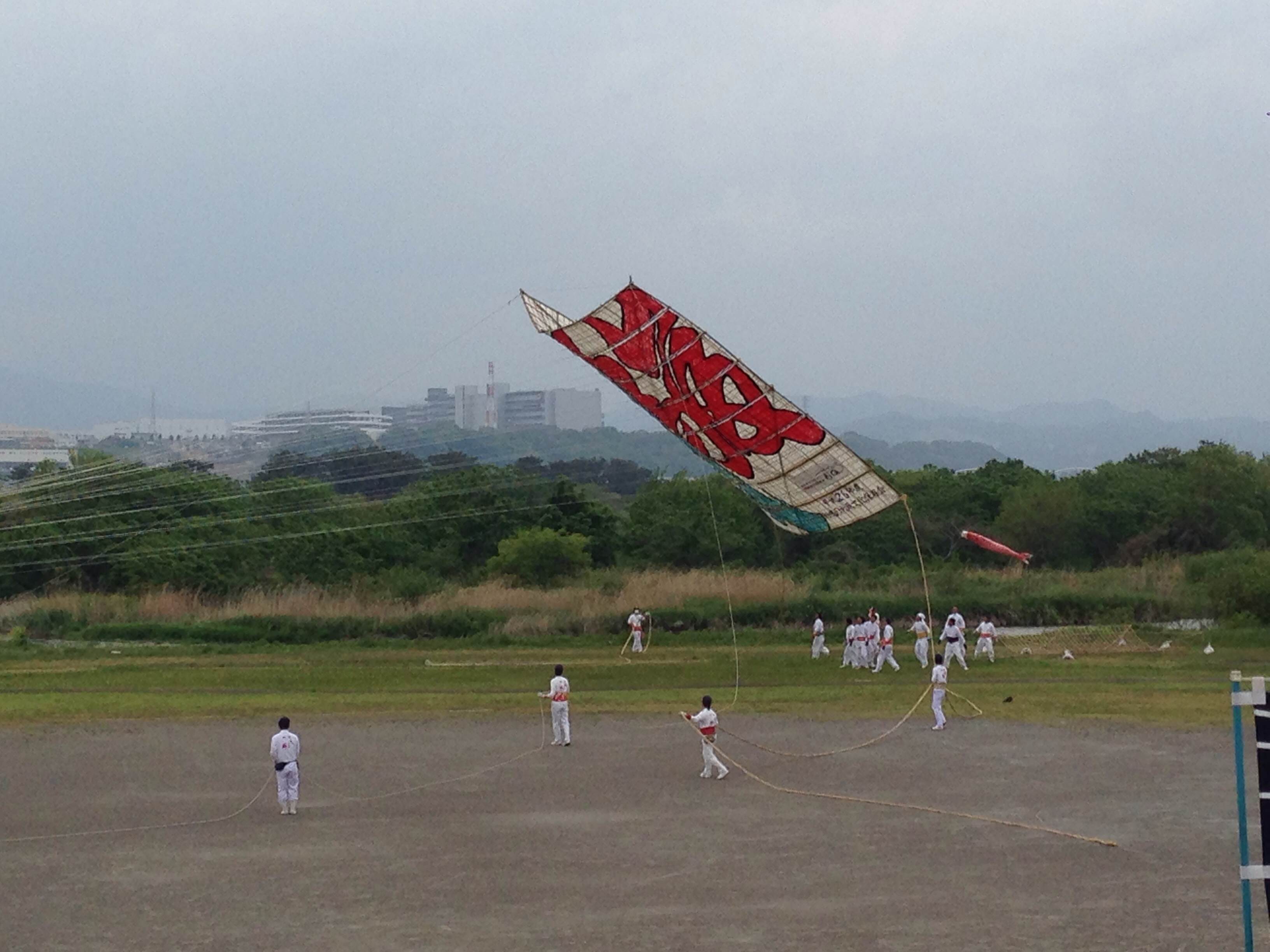 ☆相模の大凧祭り☆